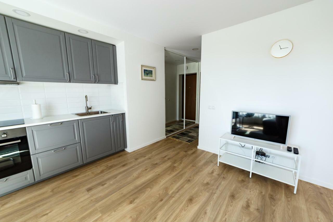 Spacious Apartment Close To The Old Town Vilna Exterior foto